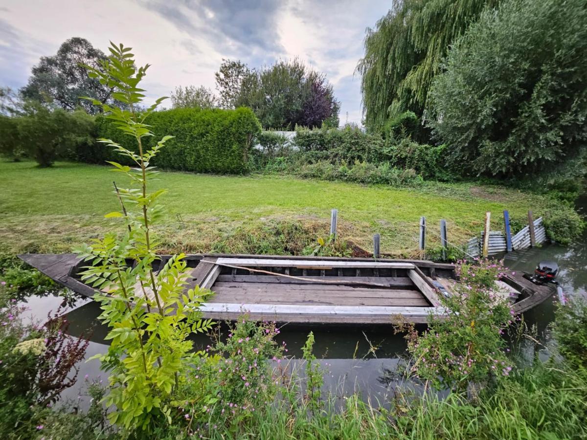 Le Jardin Secret Villa Saint-Omer  Eksteriør billede